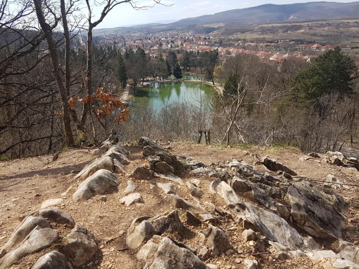 Két Diófa Vendégház Felsőtárkány Kültér fotó